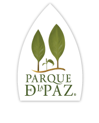 white logo