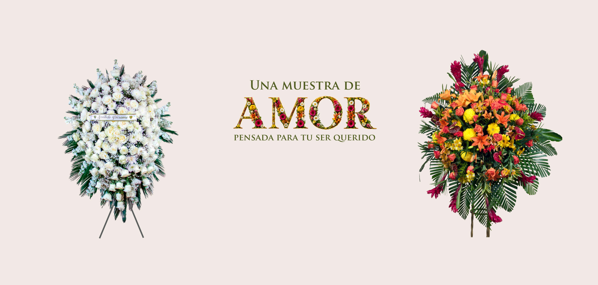 banner-out-_-flores-3